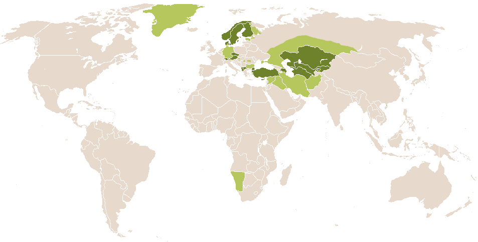 world popularity of Nikol