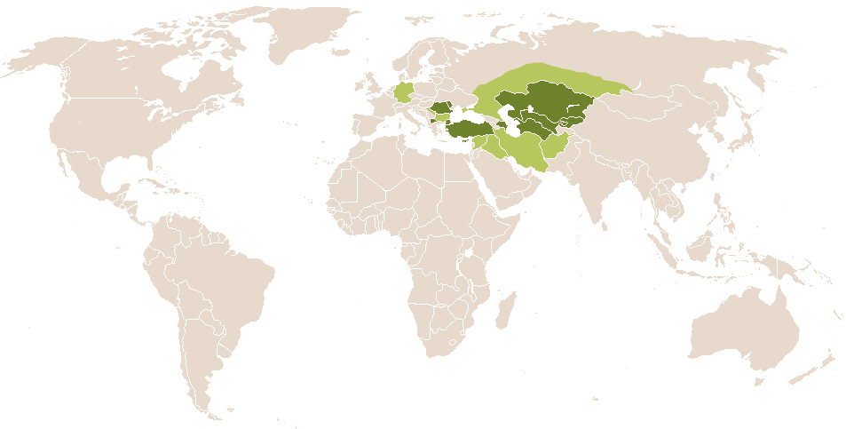world popularity of Akhilleus