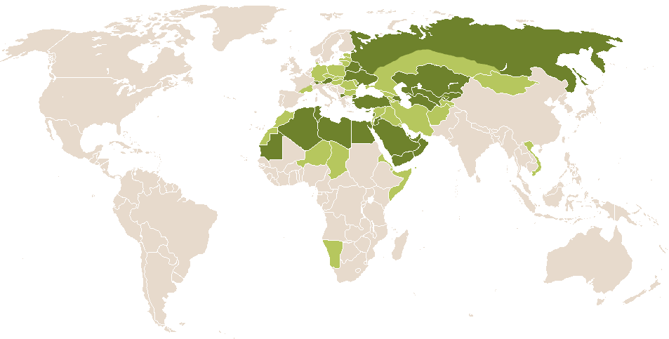 world popularity of Umar